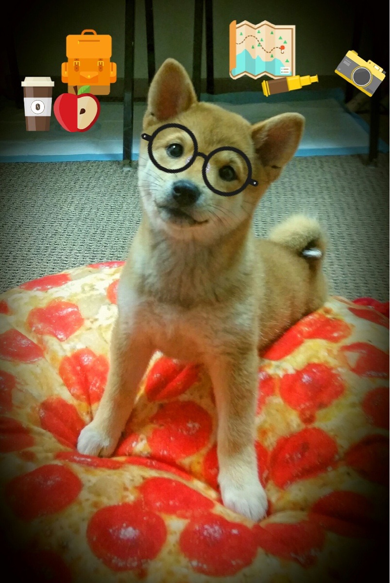 霍勒迪无解神勇,湖人绝境逆转老鹰赢得生死战